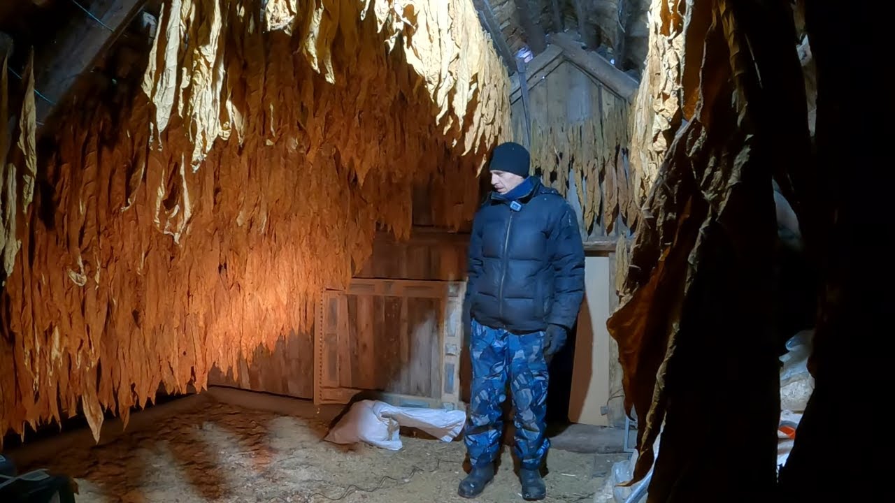 Корова под видеонаблюдением, последнее утепление, деревенские будни декабря! смотреть онлайн