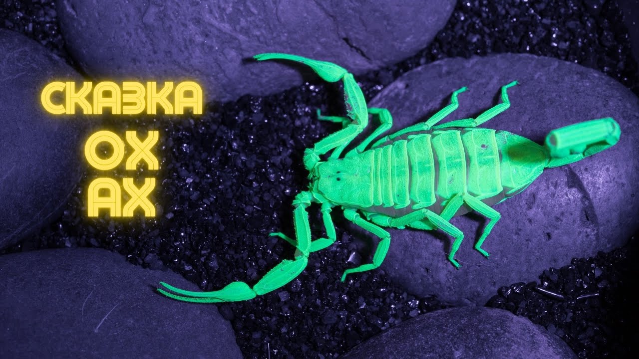 Сказка | Ох и Ах