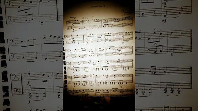 🎻🎸Joseph Haydn (1732-1809) DIVERTIMENTO-presto(TWO GUITARS) SCHECTER and FENDER смотреть онлайн