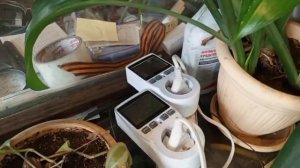 Укоренение Однопочковых черенков Винограда.