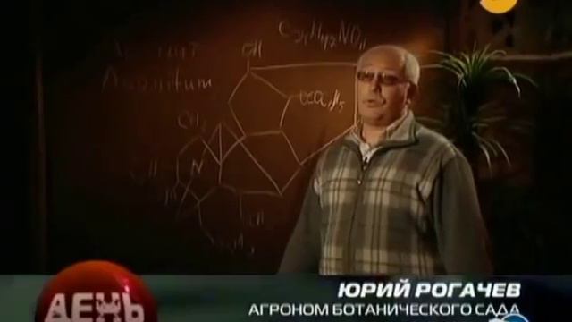 Волшебных травы смотреть онлайн