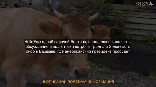 Деловая столица (Украина): Богдан, Россия и священные коровы. Что объяснить смотреть онлайн