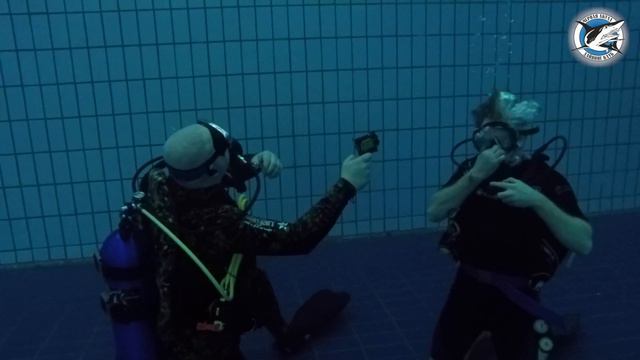 Еженедельный дайвинг в Бассейне - Дайвинг Клуб Черная Акула смотреть онлайн