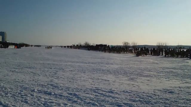 День оленевода. г.Надым. 26.02.2012 г. Несколько финишей смотреть онлайн