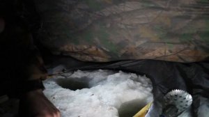 БЕШЕННЫЙ КЛЁВ КАРАСЯ. ОЗЕРО УЕЛГИ. Рыбалка в Челябинской области.