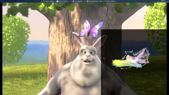 ffmpeg video scopes script to display histogram, vectorscope, waveform and rgb parade over videos смотреть онлайн