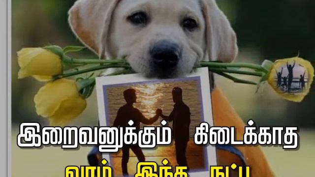 friendship whatsapp quotes tag u r best friends☝️😎 смотреть онлайн