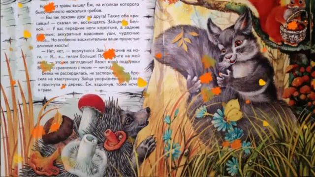 Почему у зайца короткий хвост смотреть онлайн