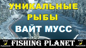 Fishing Planet - уникальные рыбы Вайт Мусс
