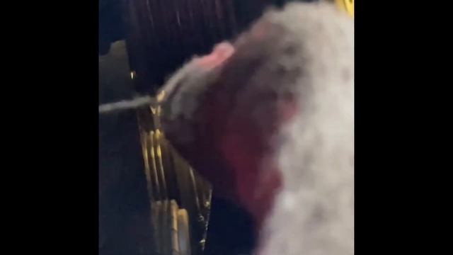 Замена приводных ремней на уаз буханке, 409 двигатель с гидроусилителем! смотреть онлайн