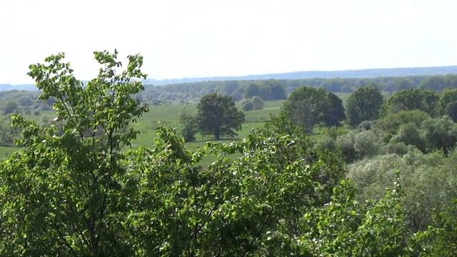 Вид на просторы со смотровой площадки Солотчинского монастыря смотреть онлайн