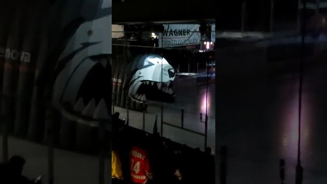 Wölfe Freiburg -Heimspiel gegen Bad Nauheim смотреть онлайн