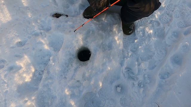 Ловлю ротанов. Зимняя рыбалка. Скромный результат. смотреть онлайн