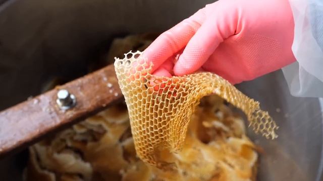 How To Harvest Honey / 台灣蜂蜜採收 - Taiwan Bee Master