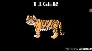 Mammals - The Kids' Picture Show