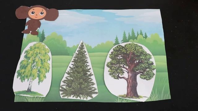 Развивающие занятия. Летний период. Старшая гр. Занятие 17. РОД Солнечный мир. Гилметдинова Владлен смотреть онлайн