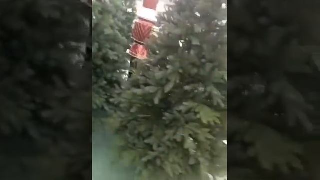 Новогодние товары в ТЦ "Твой дом" в Воронеже смотреть онлайн