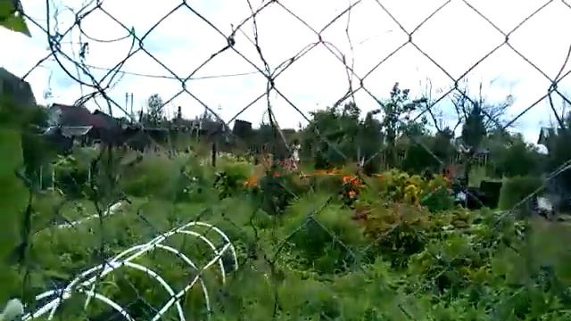 Мои цветы, и обовсем по немногу! Не вышивальное видео! смотреть онлайн