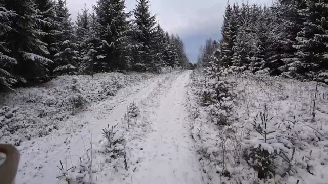 Лучшая охота с начала сезона! Охота на зайца по белой тропе с эстонской гончей 18.11.2023 смотреть онлайн