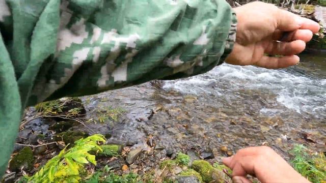 Горная Шория,Патын,Сензас: серия 2 смотреть онлайн