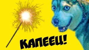 Я БОЮСЬ БЕНГАЛЬСКИХ ОГНЕЙ !! (Хаски Бандит) Говорящая собака