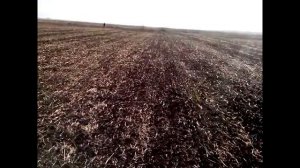 ОТКРЫТИЕ охоты на зайца в Крыму