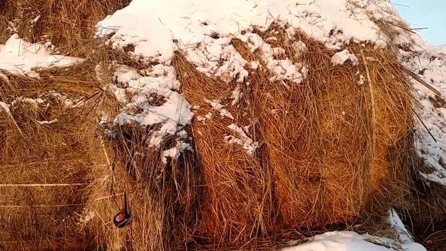 Размеры рулонов из 62 класса смотреть онлайн