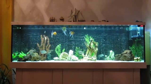 аквариум 800 литров-своими руками.. смотреть онлайн