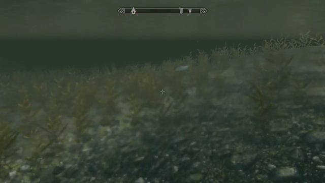 Lets Play Skyrim: Where In The World Is ...THAT DAMN QUILL!!!