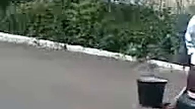 Вот так перевозят анализы крови. смотреть онлайн