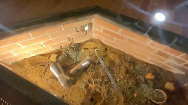 Открыли грибной сезон. Экскурсия по Гольшанскому замку. Замок Сапег. Жизнь в деревне