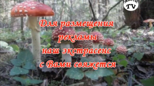Песня-сказка о нечисти смотреть онлайн