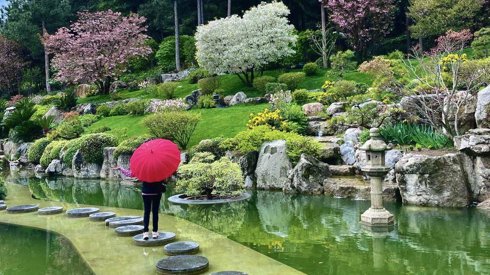 Видео прогулка по японскому саду в парке санатория «Айвазовское» смотреть онлайн