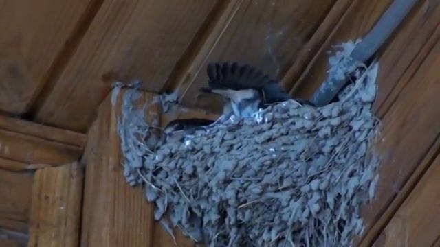 вот это олл инклюзив смотреть онлайн