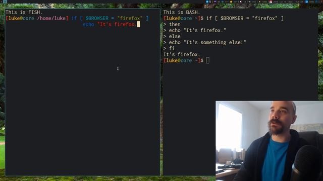 FISH (Friendly Interactive Shell) by Bash Boomer смотреть онлайн