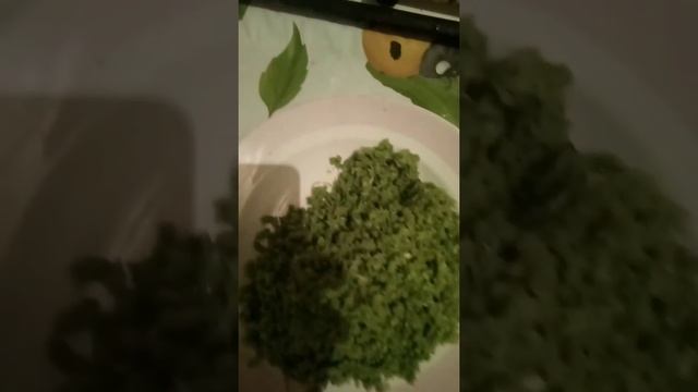 Приправа из листьев хрена назиму смотреть онлайн