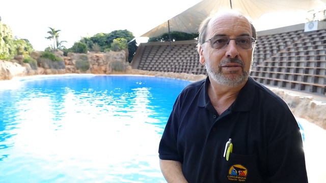 Haben die DELFINE im LORO PARQUE zu wenig Platz? 🐬 | zoos.media смотреть онлайн