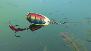 Ловля щуки на вертушку Blue Fox. Одна из лучших блесен для ловли щуки.