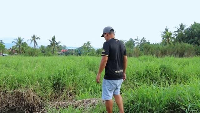 How I Turned My Farm Dream Into A Reality ( Episode 1 ) смотреть онлайн