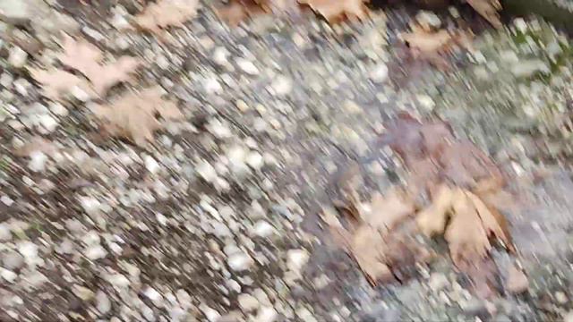 янтарная форель Турция смотреть онлайн