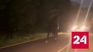 Момент столкновения иномарки с лошадью на трассе сняли в Подмосковье - Россия 24 