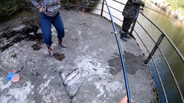 Форель, окуни 2018. Сторуман. Август. смотреть онлайн