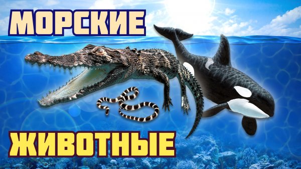 ПОДВОДНЫЙ мир. Морские обитатели. Морские животные для детей