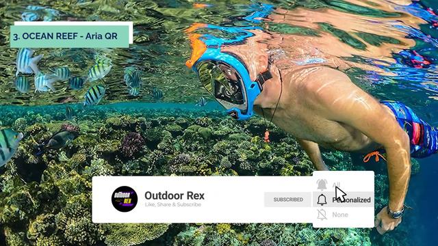 Top 5 Best Full Face Snorkel Mask in 2023 смотреть онлайн