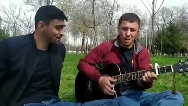 УЗУМ ПАРВО НЕСТ. смотреть онлайн