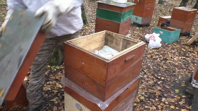 Забираем мед с пасеки в лесу. смотреть онлайн