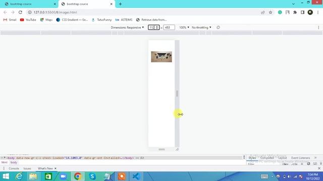 8.Easy Method Image Responsive in Bootstrap 5 | Bootstrap 5 Complete Tutorial in Urdu / Hindi смотреть онлайн