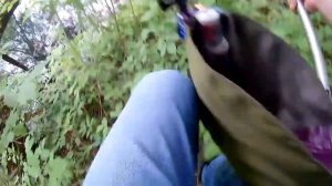 Боковой кивок , Рыбалка летом