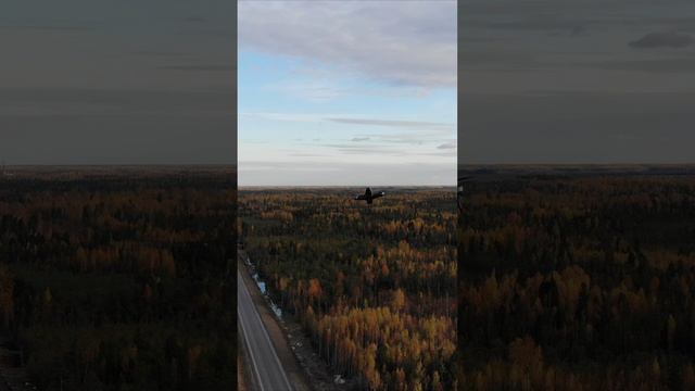 Посадку давай смотреть онлайн