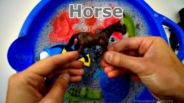 Learn Sea Animal and Zoo Animals Names Education Video Animal Toys For Kids